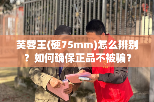 芙蓉王(硬75mm)怎么辨别？如何确保正品不被骗？